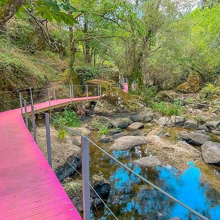 مبيت وإفطار Tábua Casa Trilho The Gaios المظهر الخارجي الصورة