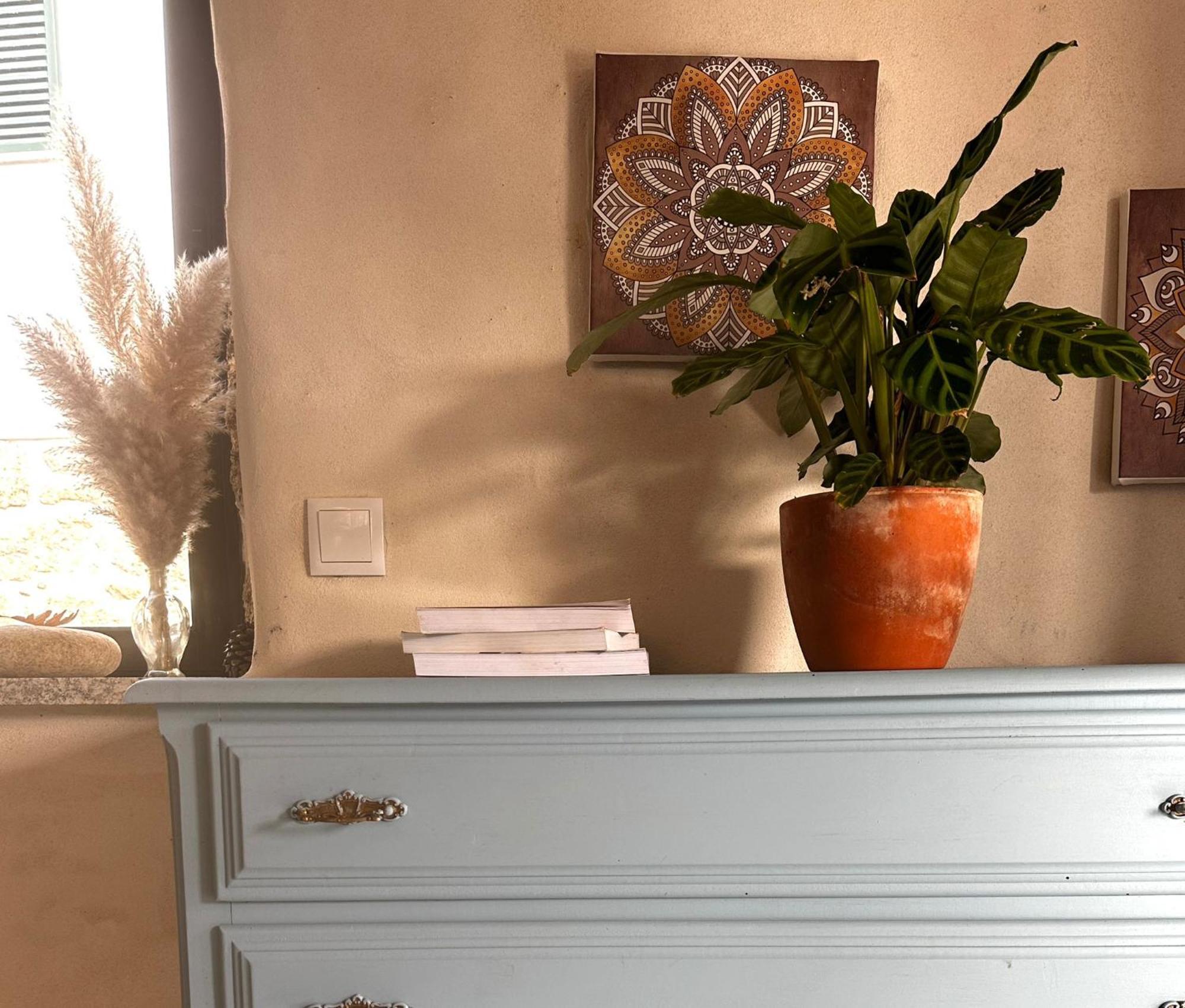 مبيت وإفطار Tábua Casa Trilho The Gaios المظهر الخارجي الصورة