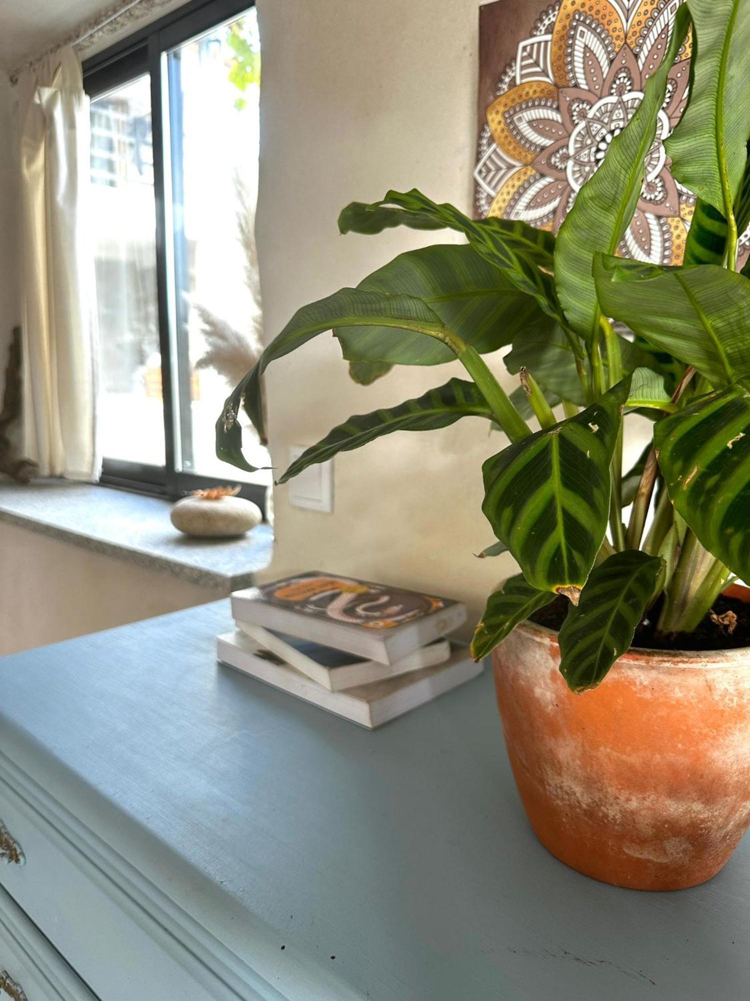مبيت وإفطار Tábua Casa Trilho The Gaios المظهر الخارجي الصورة