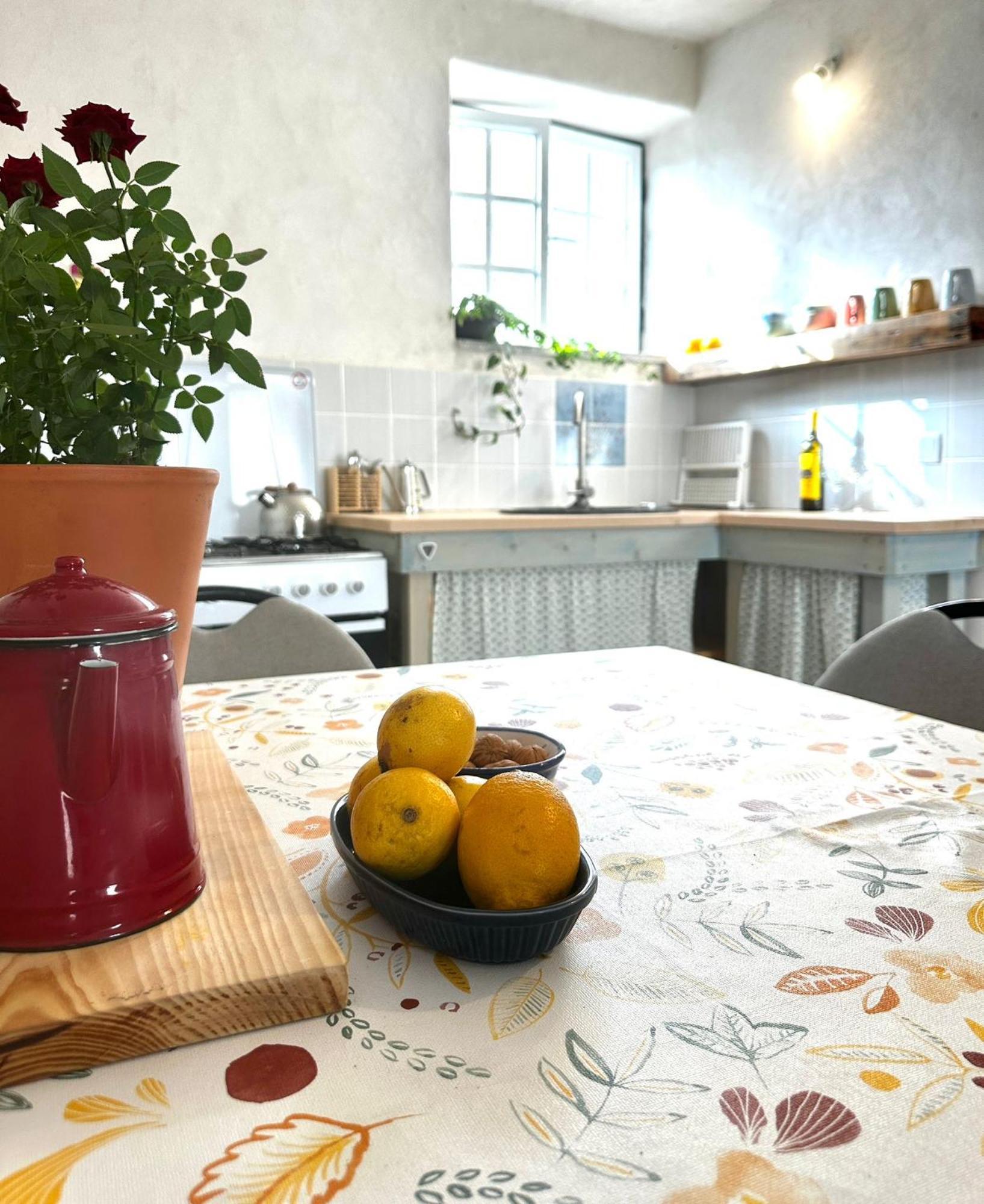 مبيت وإفطار Tábua Casa Trilho The Gaios المظهر الخارجي الصورة