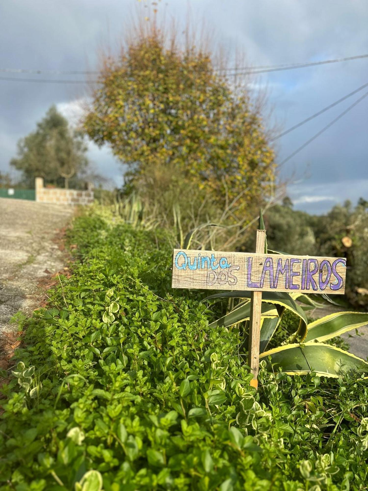 مبيت وإفطار Tábua Casa Trilho The Gaios المظهر الخارجي الصورة