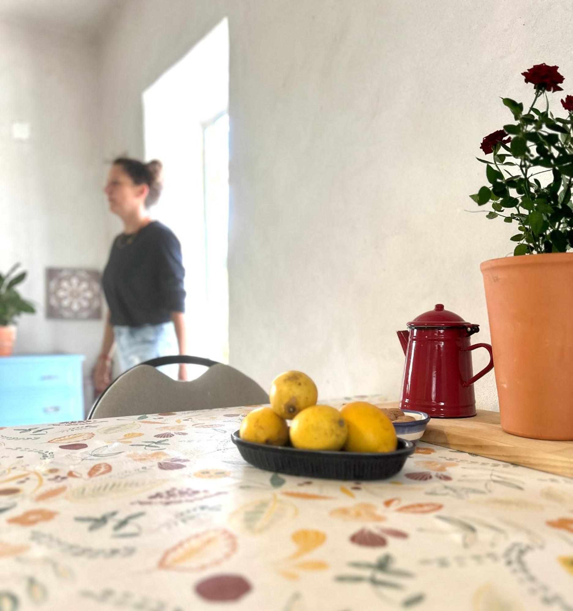 مبيت وإفطار Tábua Casa Trilho The Gaios المظهر الخارجي الصورة